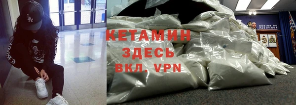 прущие грибы Майский