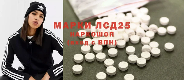 прущие грибы Майский
