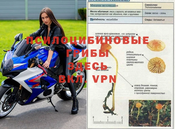 ALPHA-PVP Медногорск