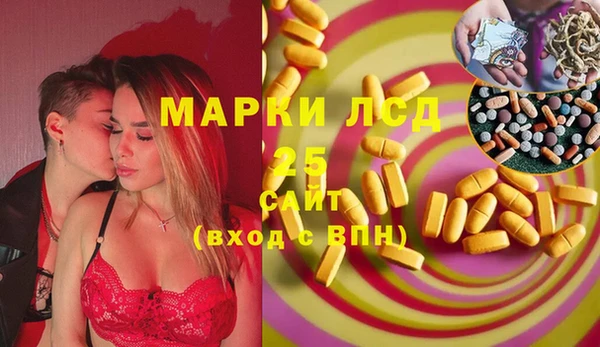 прущие грибы Майский