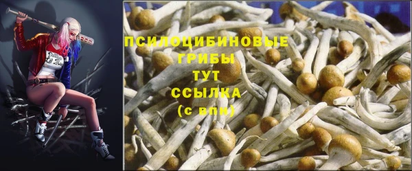 прущие грибы Майский