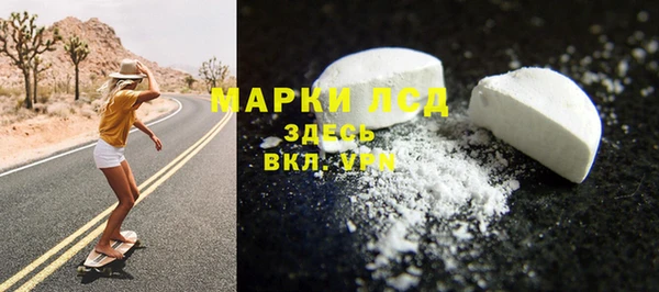 прущие грибы Майский