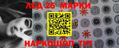 мдпв Гатчина