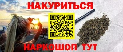 мдпв Гатчина