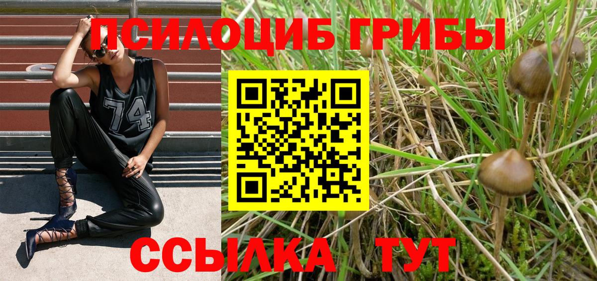 Сухой Лог  Псилоцибиновые грибы MAGIC MUSHROOMS  Вход с VPN  Галлюциногенные грибы мухоморы 