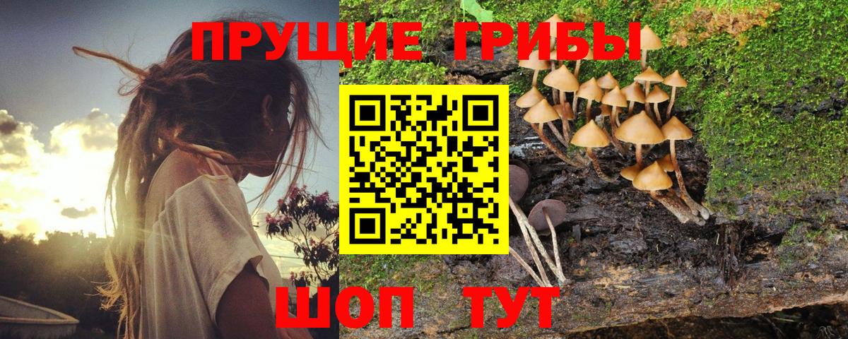 Галлюциногенные грибы прущие грибы Сухой Лог